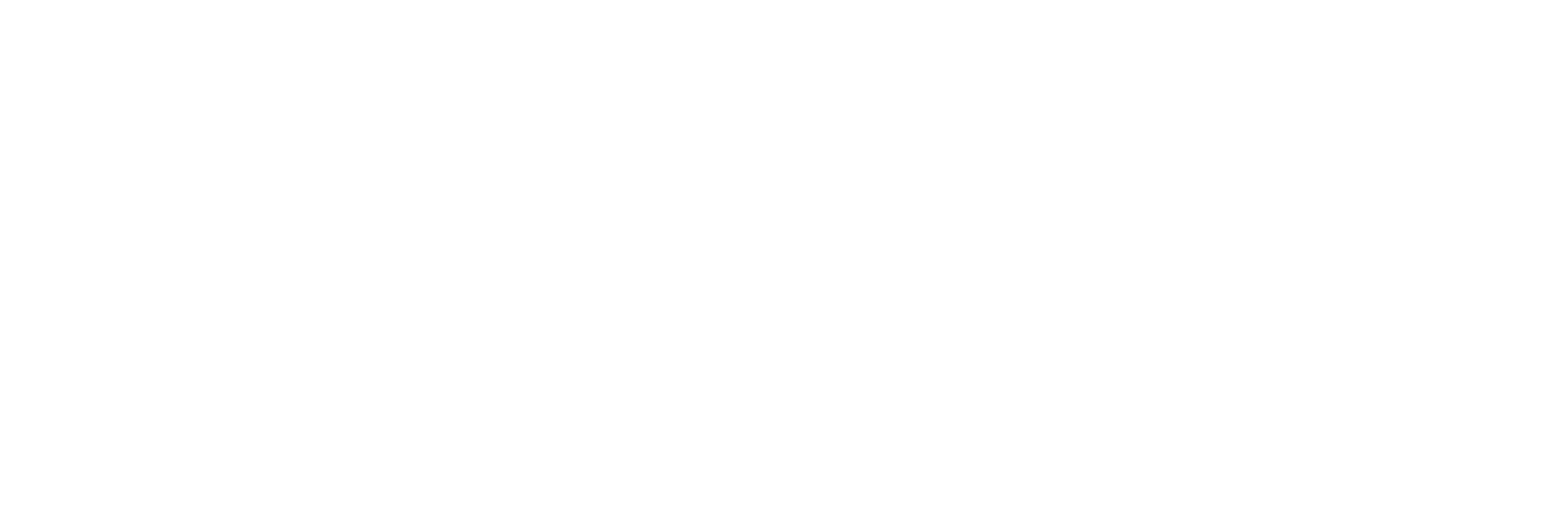 Stucwerktotaal